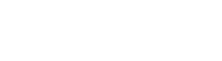 STADTBOTE Fahrzeugflotte STADTBOTE Fahrzeugflotte - Grafik